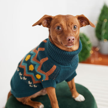 Heritage Fair Isle Dog Sweater – Retro Nordic Teal Knit Winter Dog