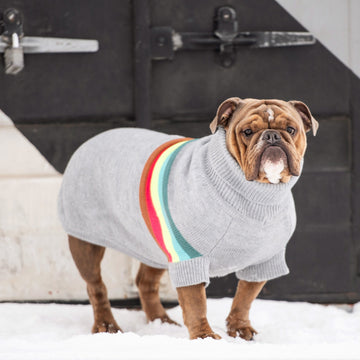 Retro Dog Sweater