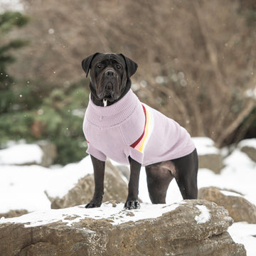 Retro Dog Sweater