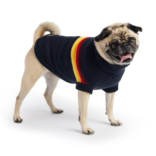 Retro Dog Sweater - Navy Striped 70s Style Winter Dog Sweater with red yellow and cream color stripes pug