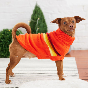 Retro Dog Sweater
