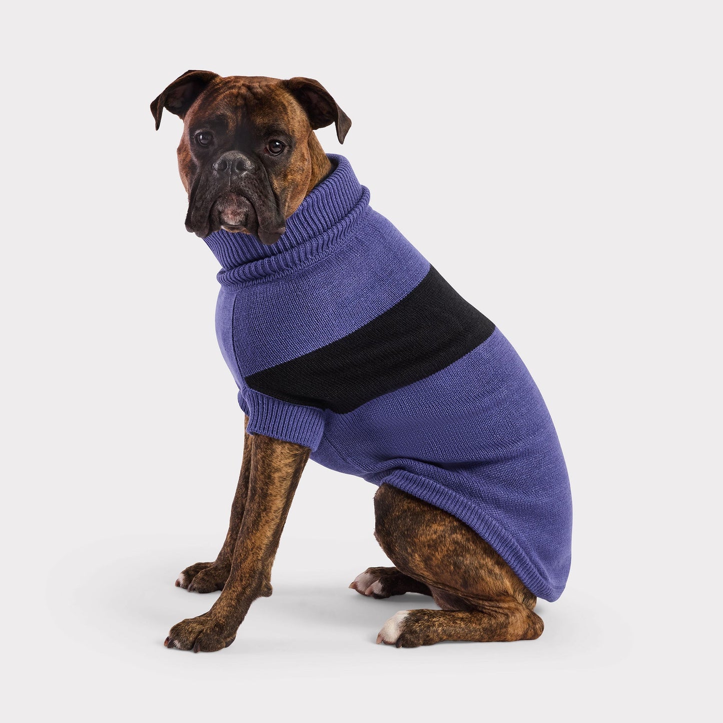 multi-knit turtleneck dog sweater for winter in blue large dog sweater stretchy material comfortable