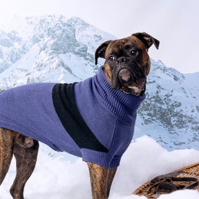 multi-knit turtleneck dog sweater for winter inblue on boxer dog large dog sweater