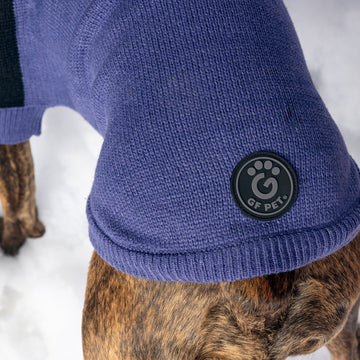 Catalyst Colorblock Dog Sweater Green / 2XS