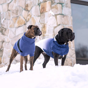 multi-knit turtleneck dog sweater for winter in blue large dog sweater boxer dog and mastiff in the snow