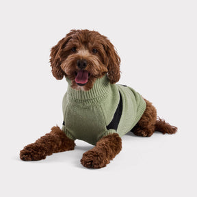 multi-knit turtleneck dog sweater for winter in green large dog sweater stretchy material comfortable golden doodle