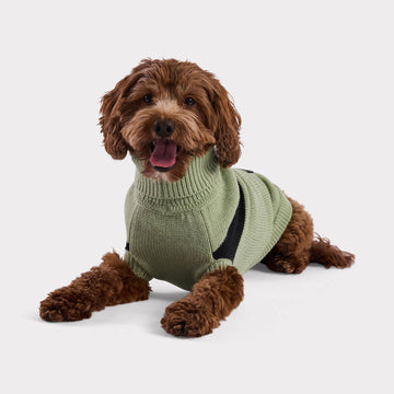 Catalyst Colorblock Dog Sweater Green / 2XS