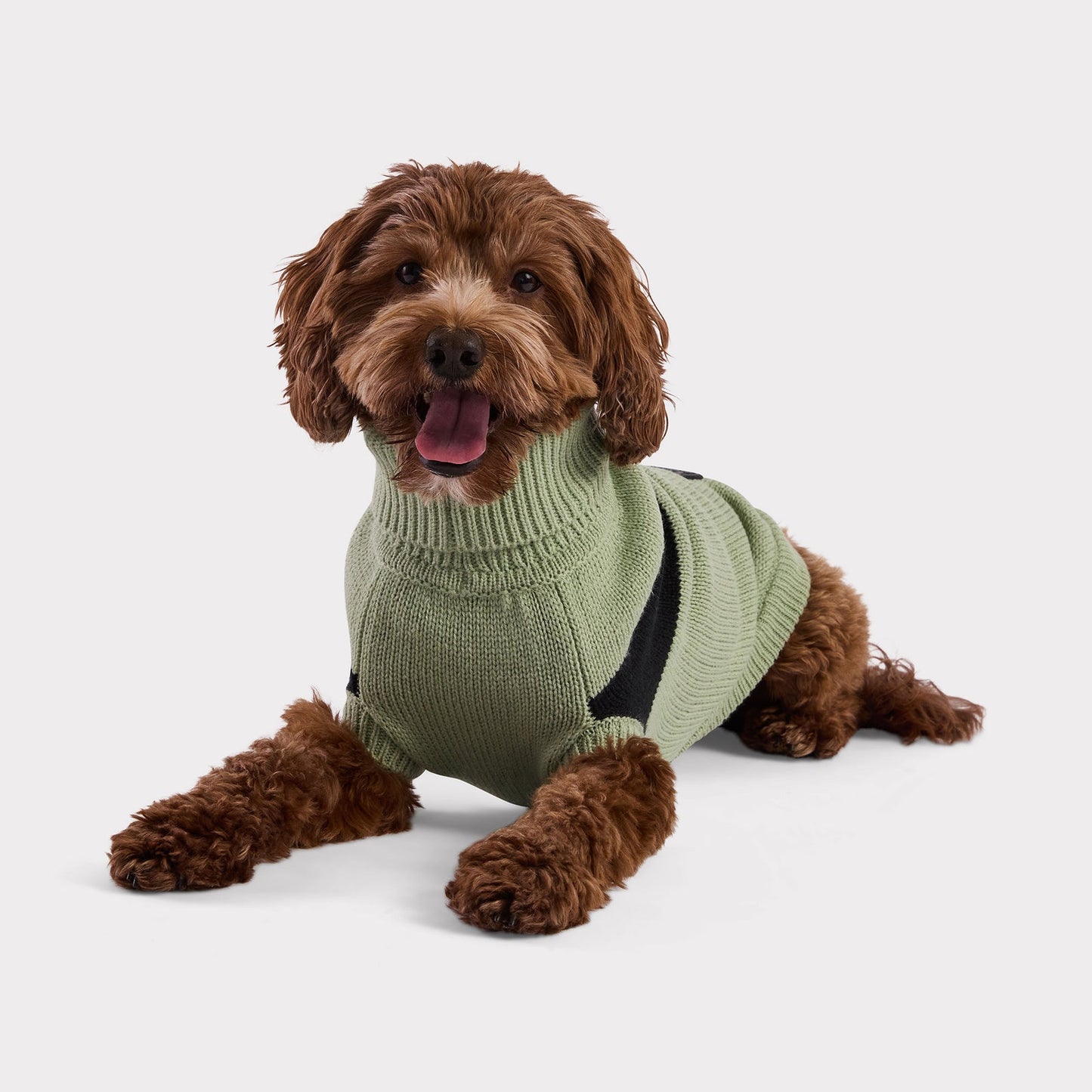 multi-knit turtleneck dog sweater for winter in green large dog sweater stretchy material comfortable golden doodle