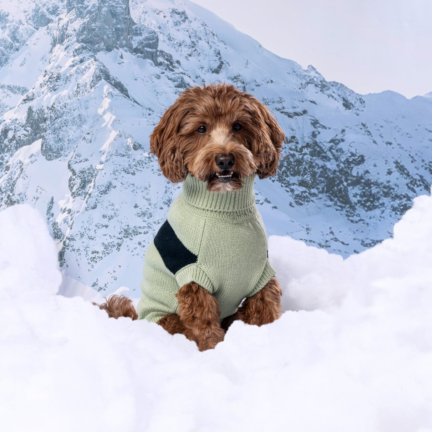 multi-knit turtleneck dog sweater for winter in green dog sweater stretchy material comfortable