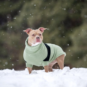 multi-knit turtleneck dog sweater for winter in green large dog sweater dog in snow sweater