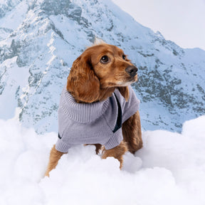 multi-knit turtleneck dog sweater for winter in gray dog sweater stretchy material comfortable