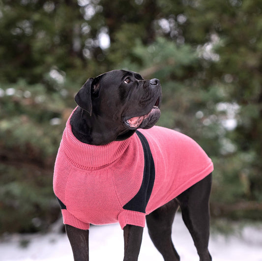 multi-knit turtleneck dog sweater for winter in pink large dog sweater