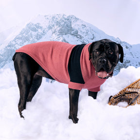 multi-knit turtleneck dog sweater for winter in pink large dog sweater stretchy material comfortable bull mastiff