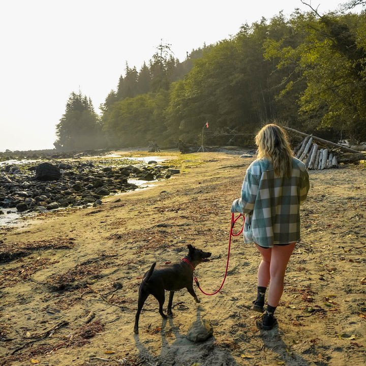 Classic Climbing Rope Dog Leash - Neutrals