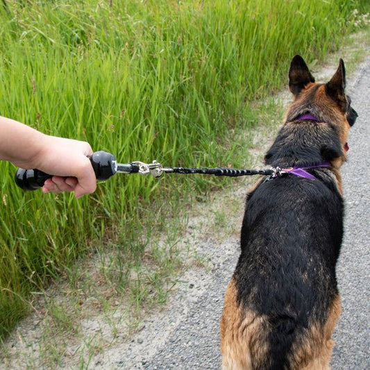 EzyDog Mongrel Bungee Stretch Leash Extension (24 inch)
