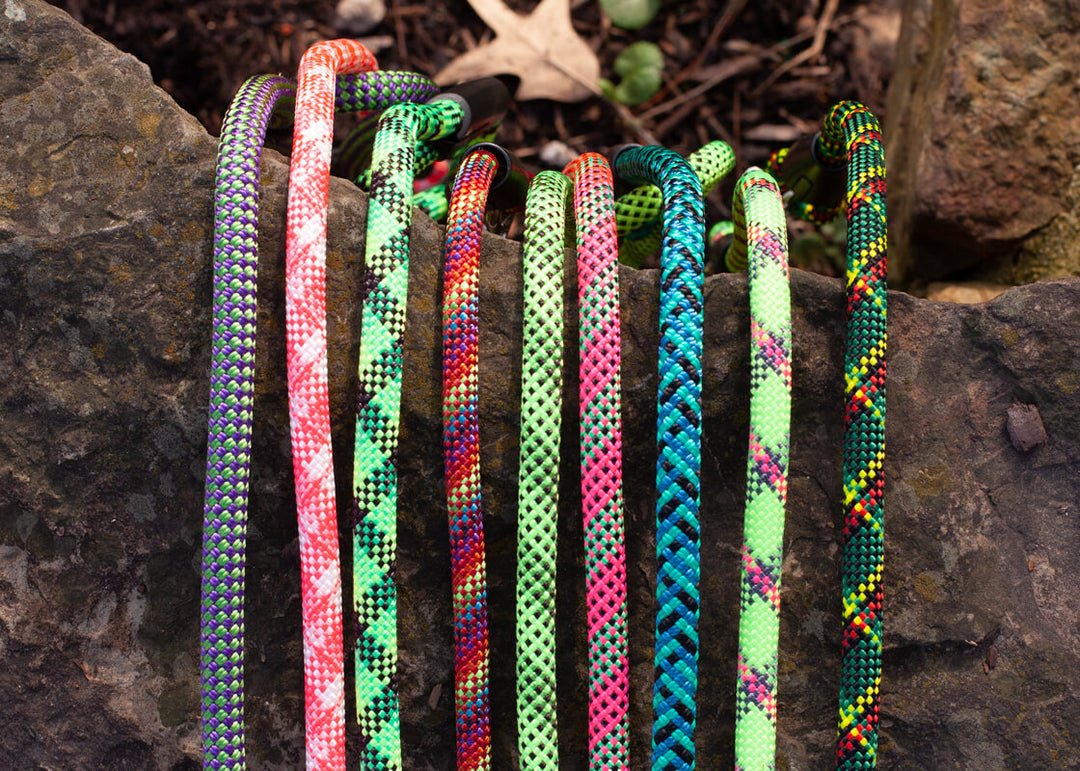 Classic Climbing Rope Dog Leash - Neutrals