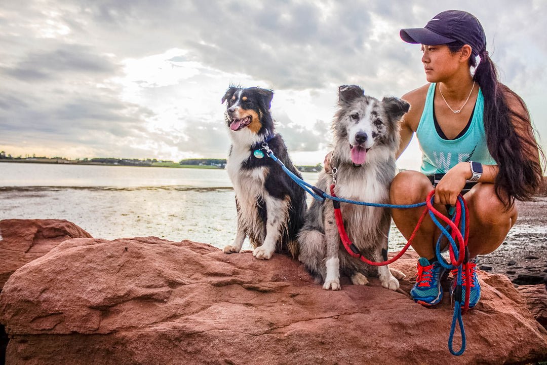 Classic Climbing Rope Dog Leash - Neutrals