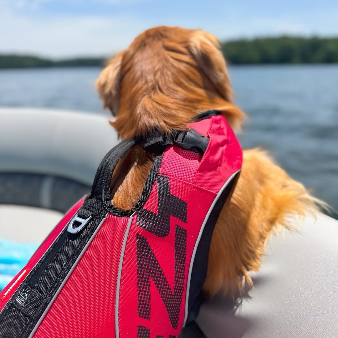 DFD X2 Boost Dog Life Vest