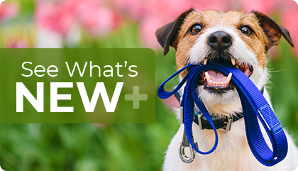 Outdoor sales dog supplies