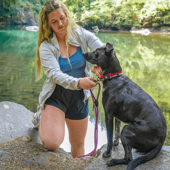 Classic Climbing Rope Dog Leash - Neutrals