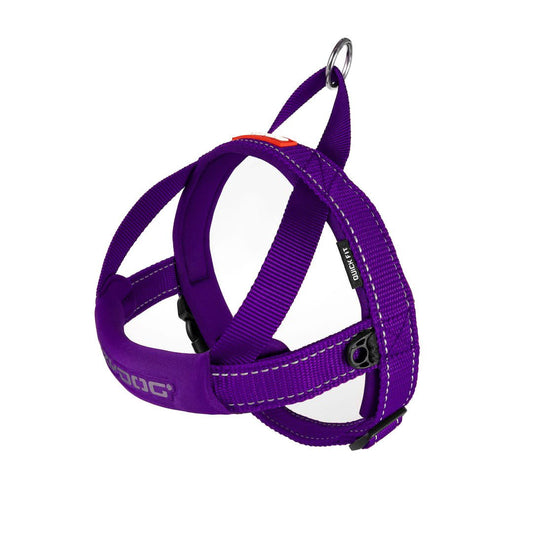 EzyDog Quick Fit Harness - Purple Medium (Customer Return)