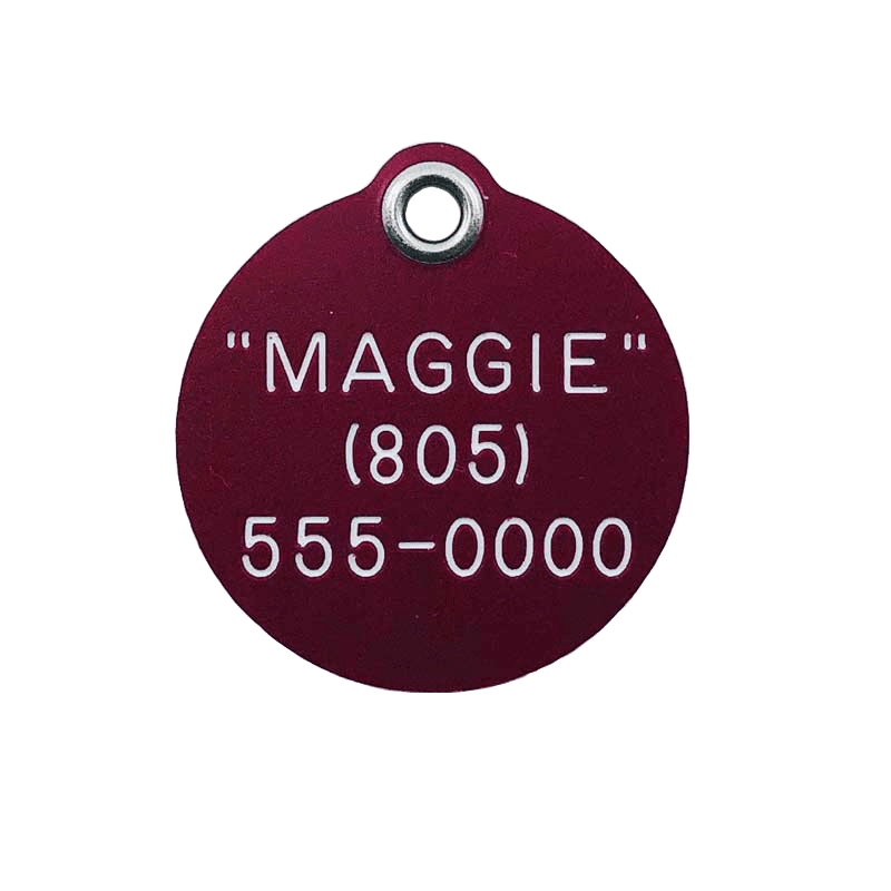 E-Z Read Durable Plastic Dog Tags - Guaranteed Not To Break