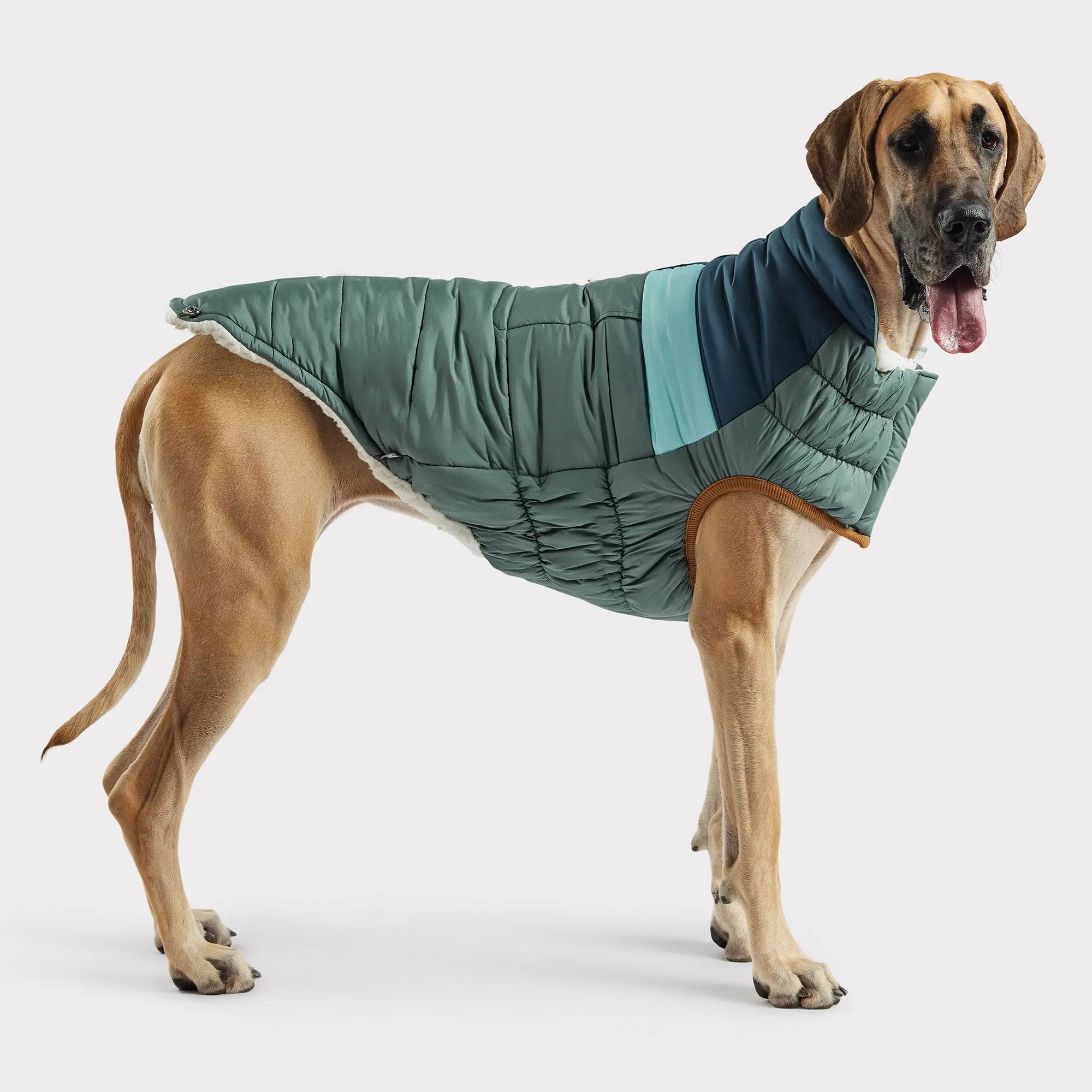 Puffer Dog Coats - Sherpa Lined Water Resistant Dog Coat – The Dog Outdoors