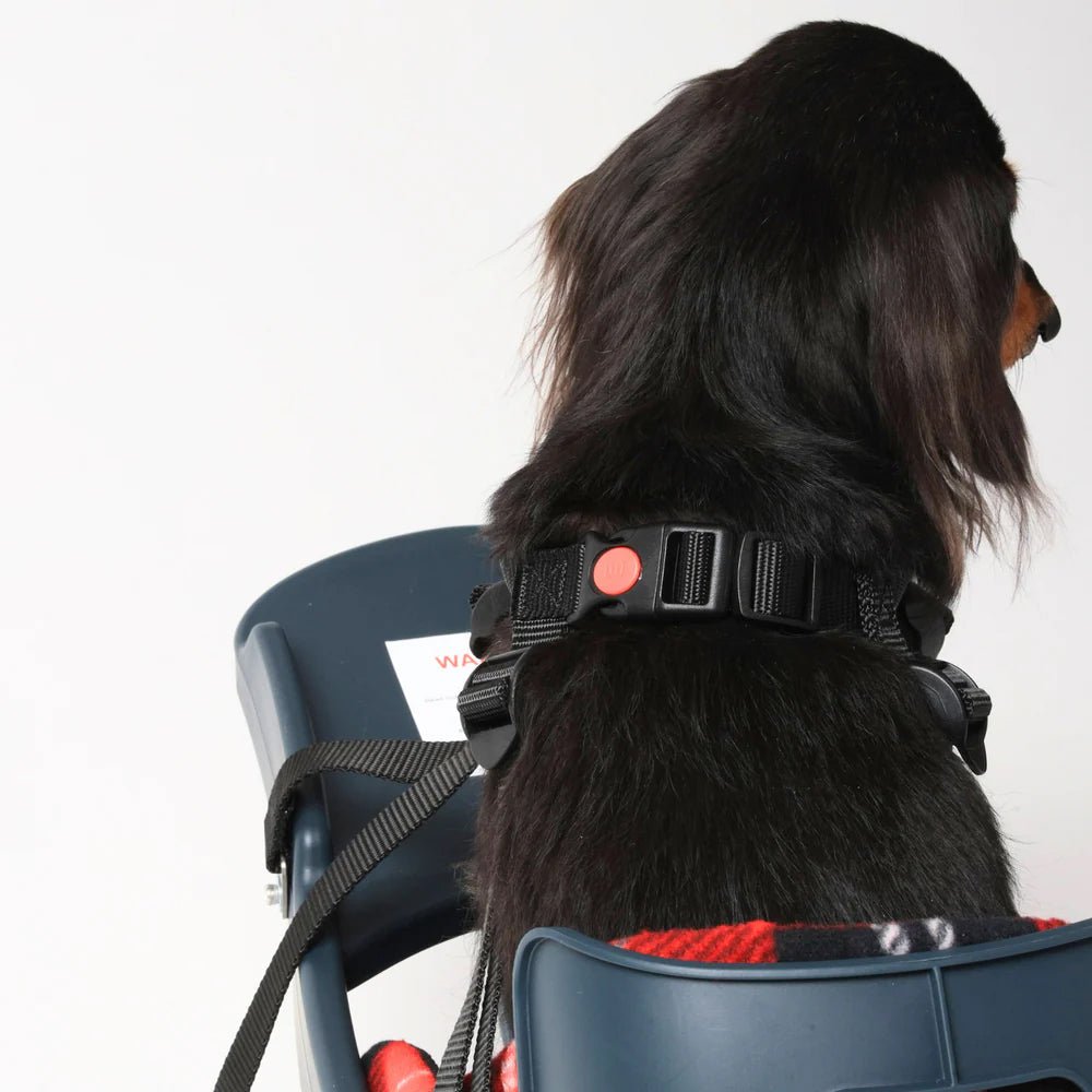 Open Box Buddyrider Series 2 Dog Bicycle Seat | Dog Bike Seat For