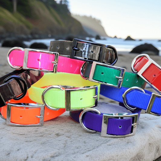 Colorful waterproof dog collars with metallic buckles on a sandy surface with a beach background. no stink easy to clean collars made for the mud and water