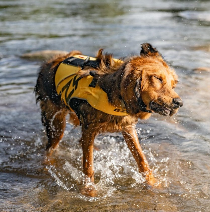 DFD X2 Boost Dog Life Vest – The Dog Outdoors