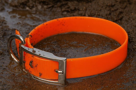 Sunglo Waterproof Dog Collars