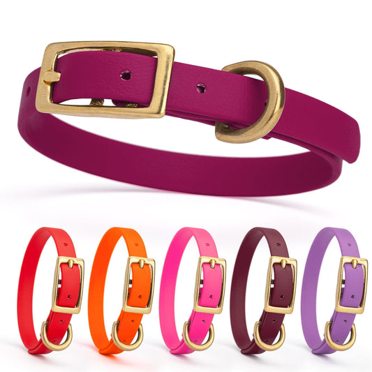 Biothane Waterproof Dog Collar - Brass Hardware - Size XS (9" - 12" Neck)