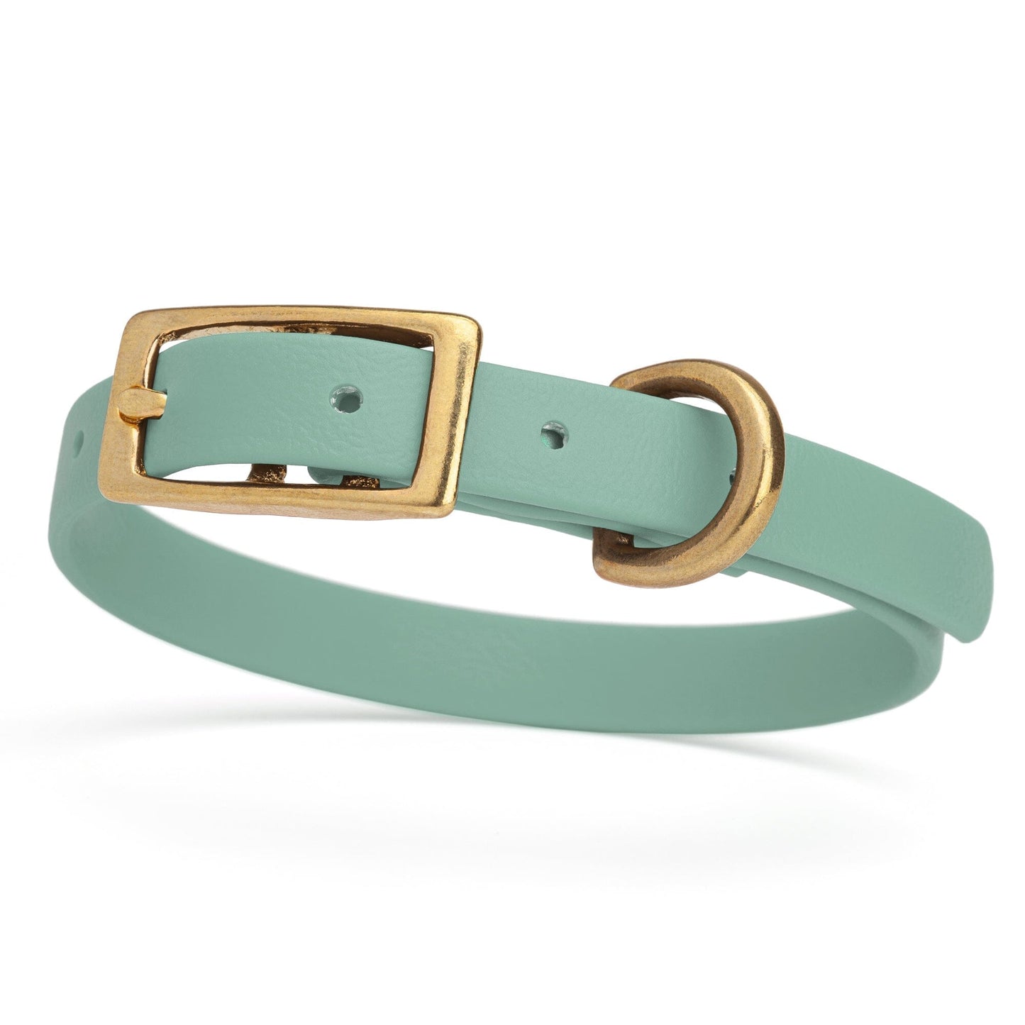 Viper Biothane Waterproof Dog Collar - Brass Hardware - Size XS (9 to 12 inches)