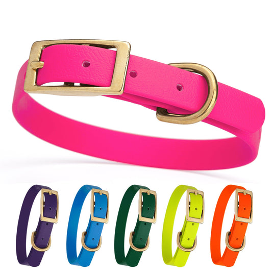 Biothane Waterproof Dog Collar - Brass Hardware - Size S (12" - 15" Neck)