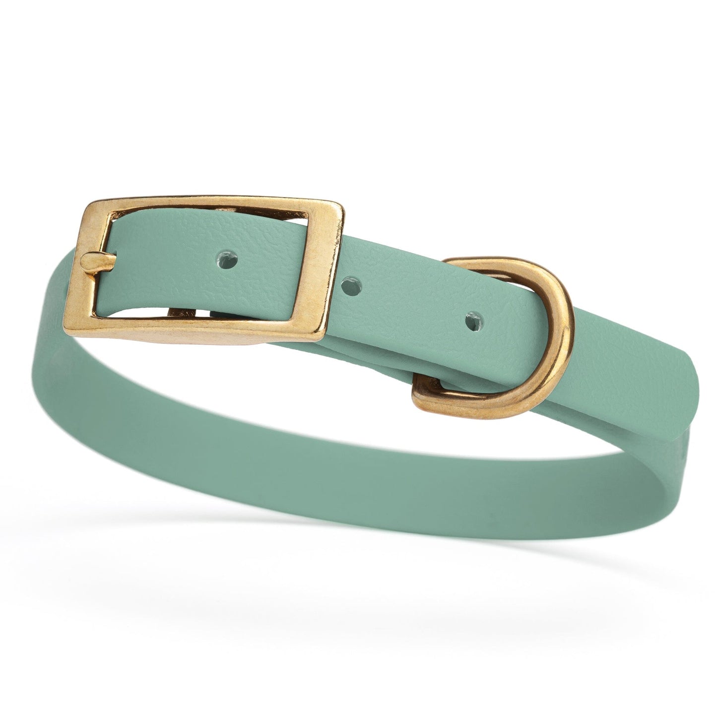 Viper Biothane Waterproof Dog Collar - Brass Hardware - Size S (12 to 15 inches)