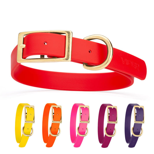 Biothane Waterproof Dog Collar - Brass Hardware - Size L (18" - 22" Neck)