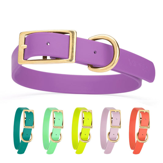 Biothane Waterproof Dog Collar - Brass Hardware - Size XL (22" - 25" Neck)