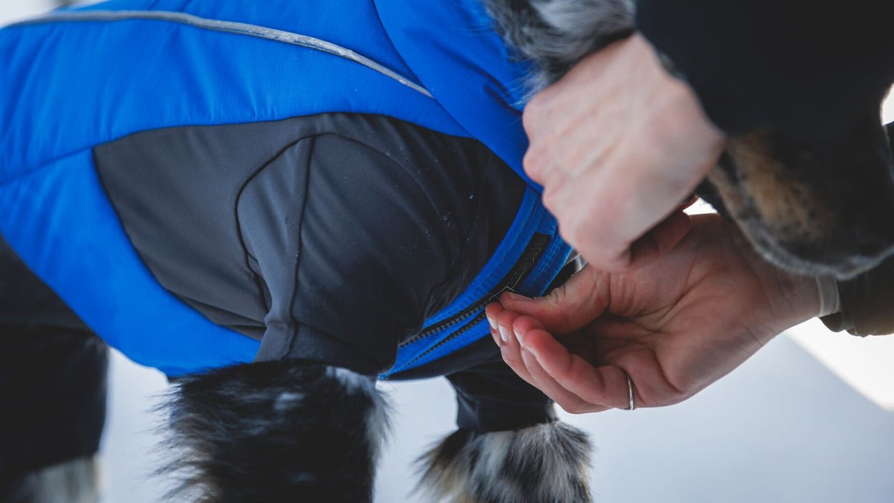 Vert™ Coverall Dog Snow Suit - Waterproof, Insulated Coverall