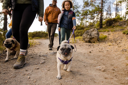 Front Range Dog Leash