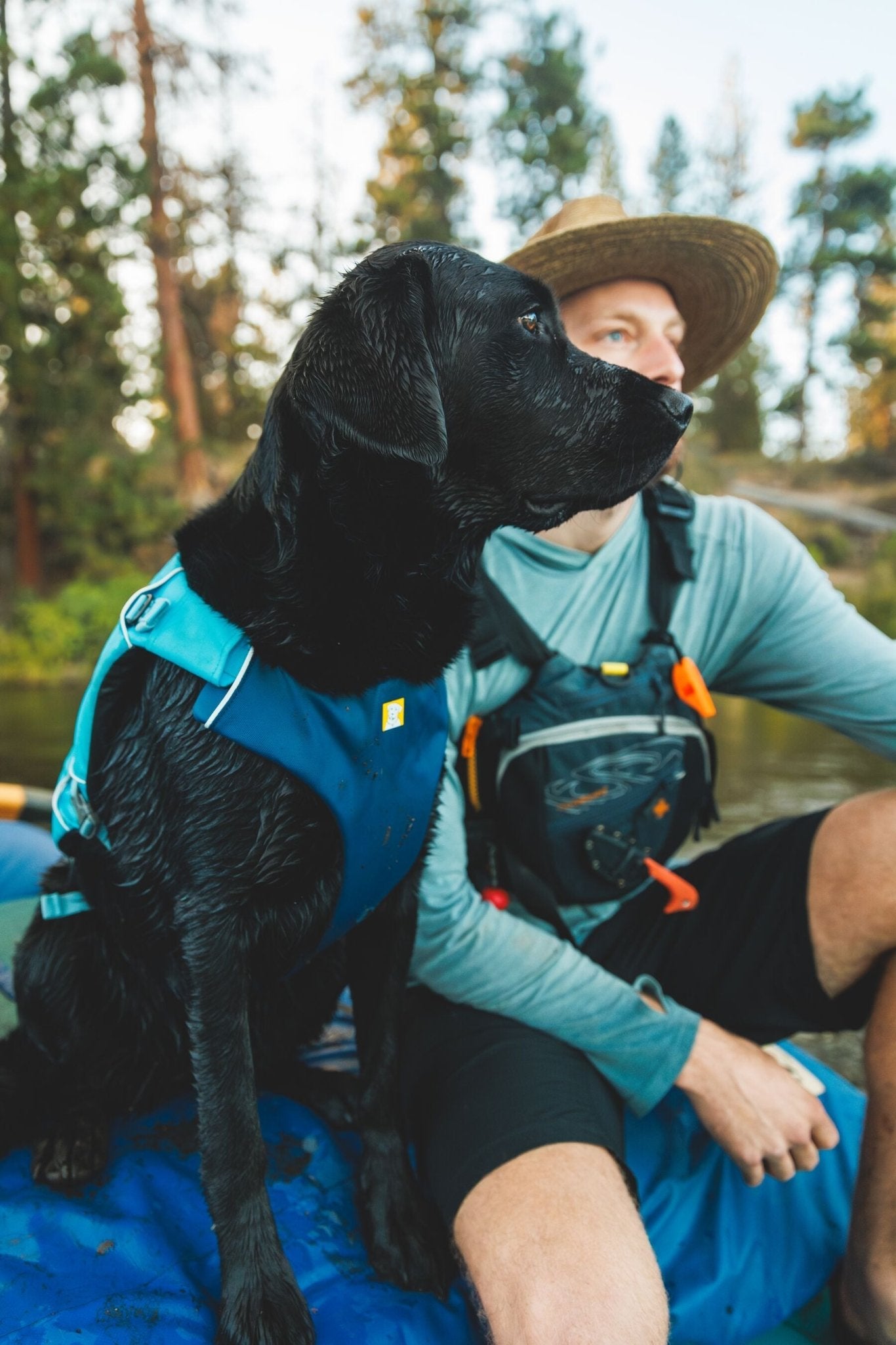 Confluence™ Dog Life Jacket