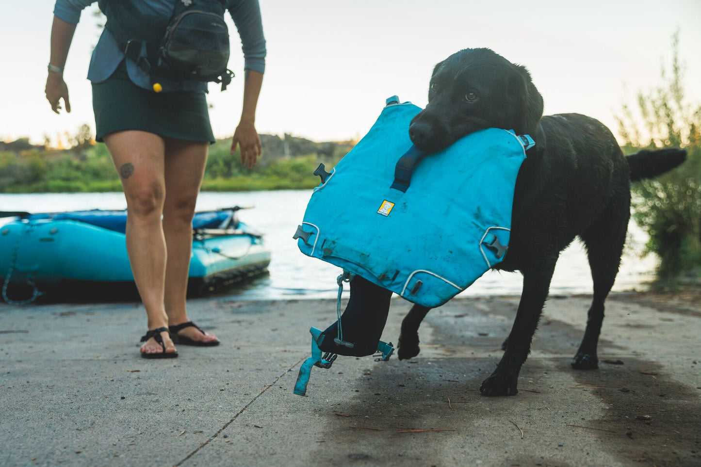 Confluence™ Dog Life Jacket