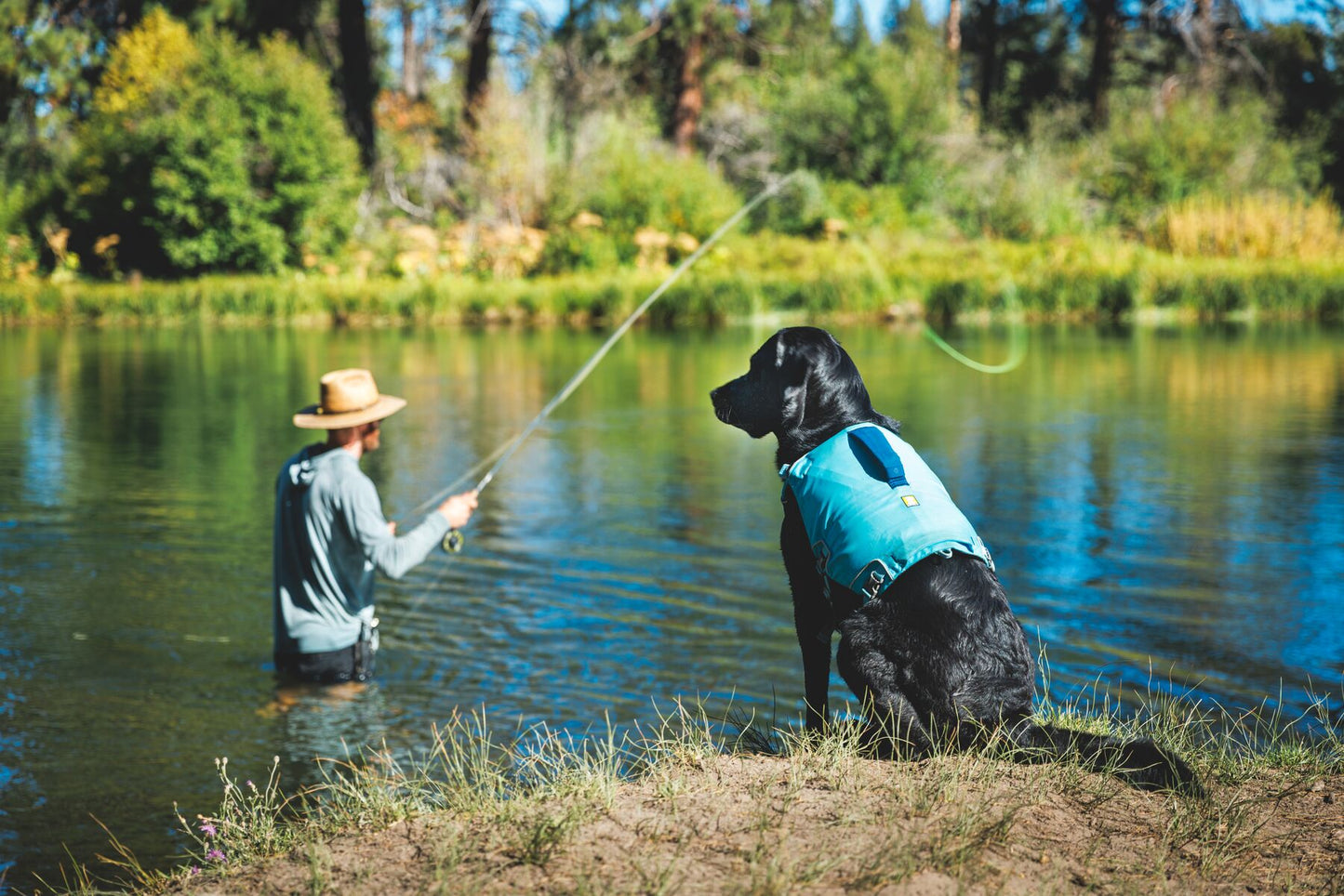 Confluence™ Dog Life Jacket