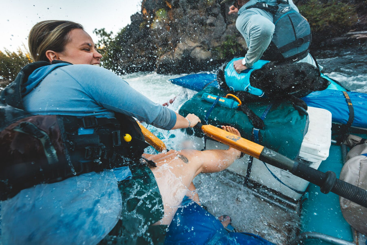 Confluence™ Dog Life Jacket