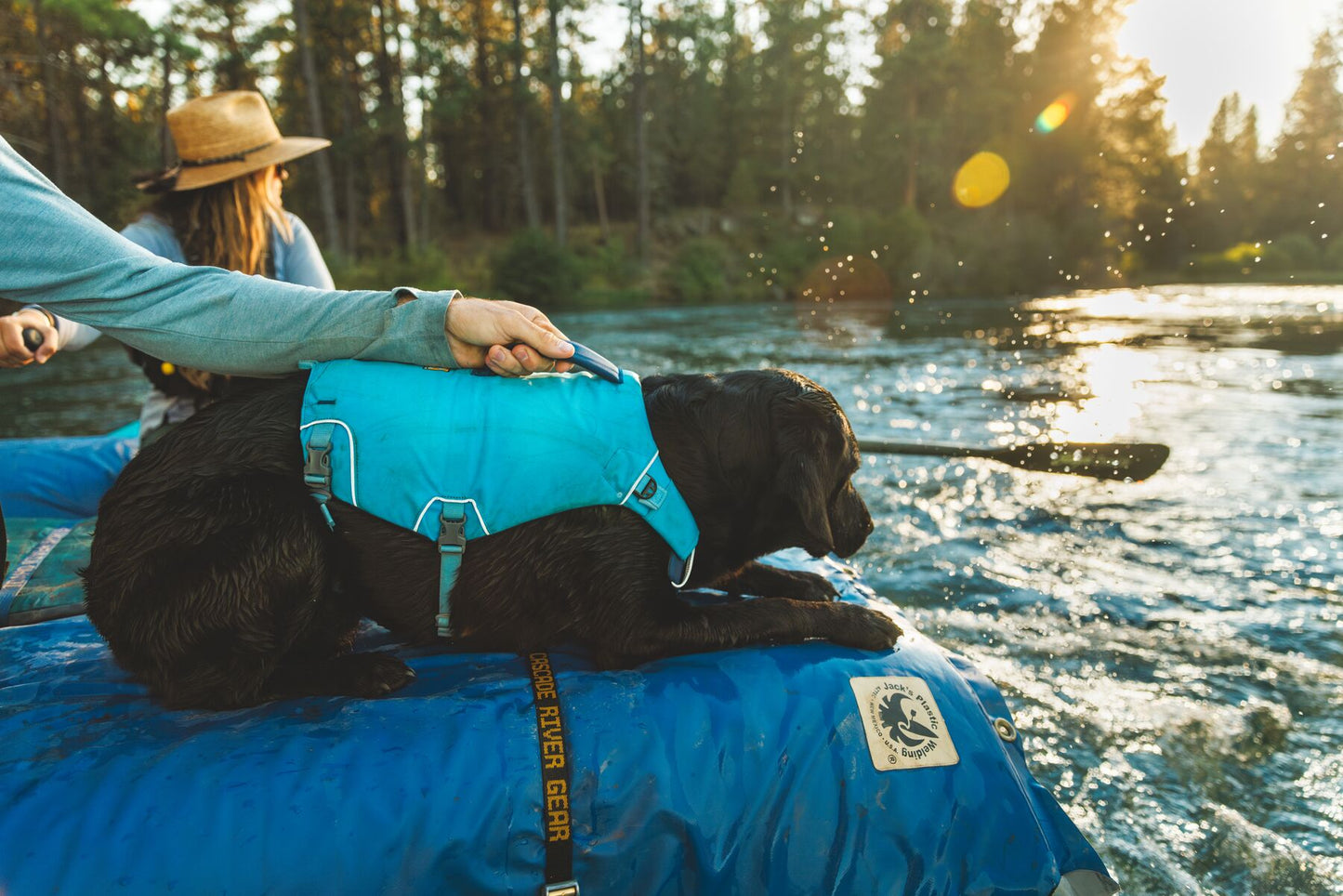 Confluence™ Dog Life Jacket