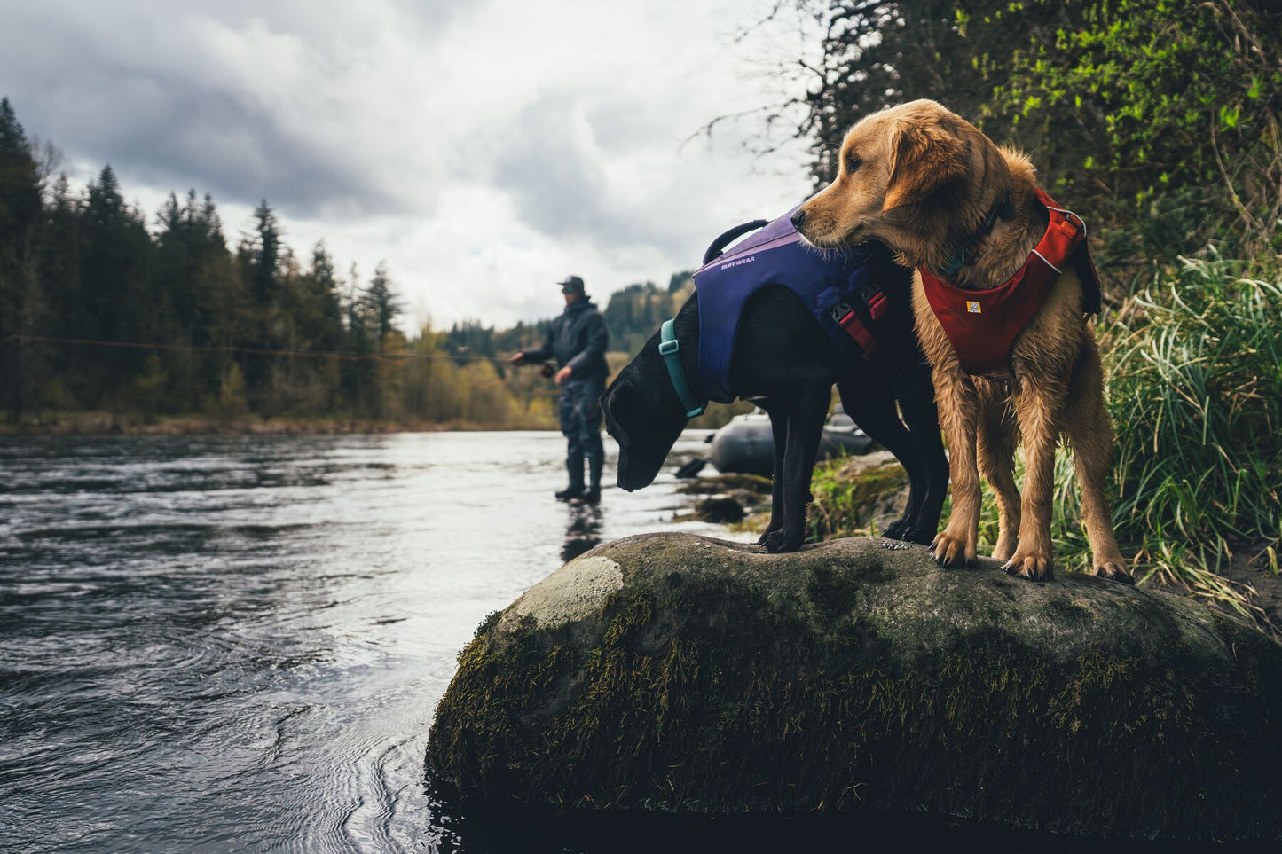 Confluence™ Dog Life Jacket