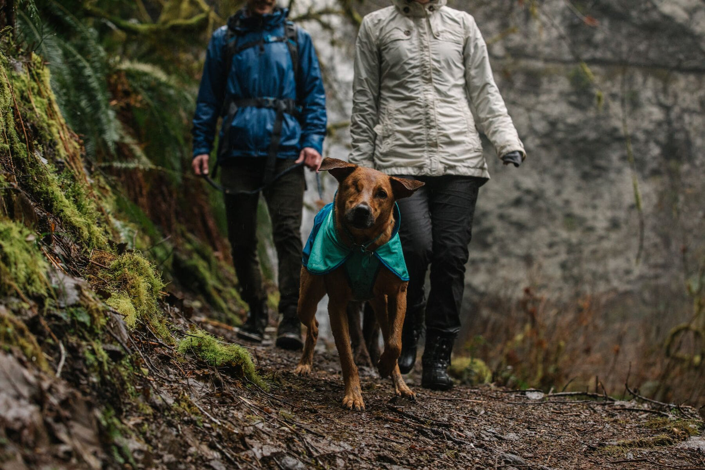 Sun Shower™ Dog Raincoat