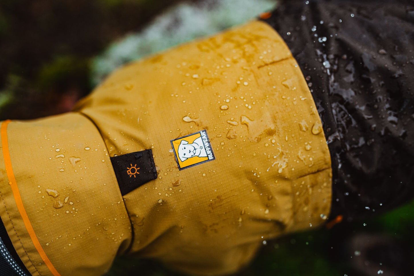 Sun Shower™ Dog Raincoat