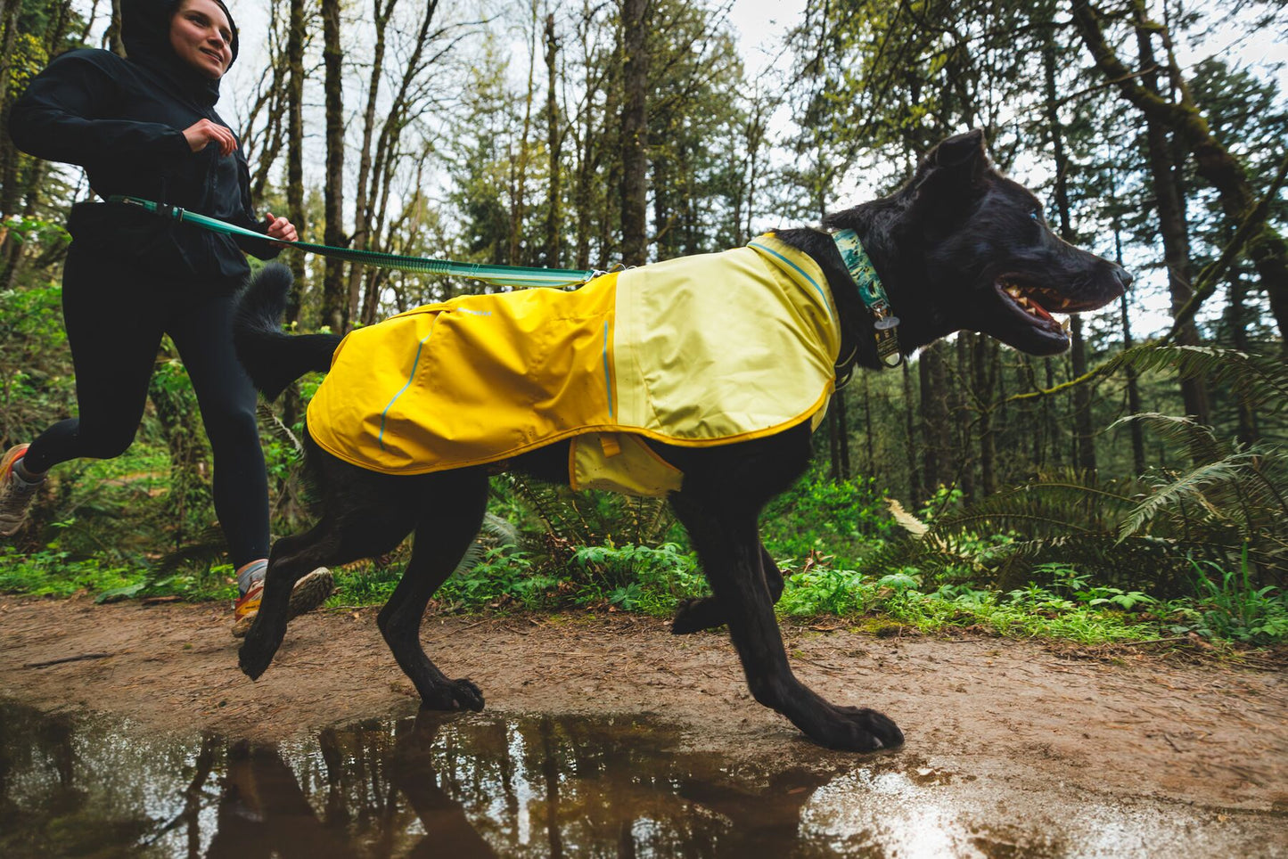 Sun Shower™ Dog Raincoat