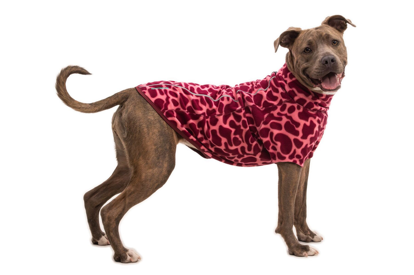 Ruffwear Climate Changer Fleece Dog Jacket