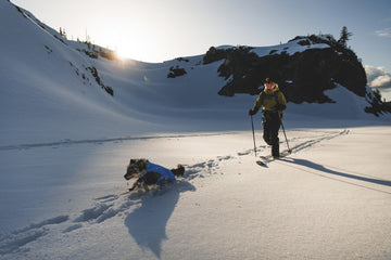 Vert™ Coverall Dog Snow Suit - Waterproof, Insulated Coverall